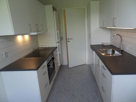 3-vær., Pebermyntevej - Photo 4