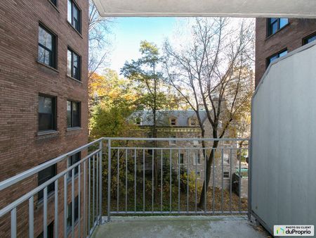 1745, Cedar Avenue, Ville-Marie (Centre-Ville et Vieux-Montréal) à louer - Photo 5