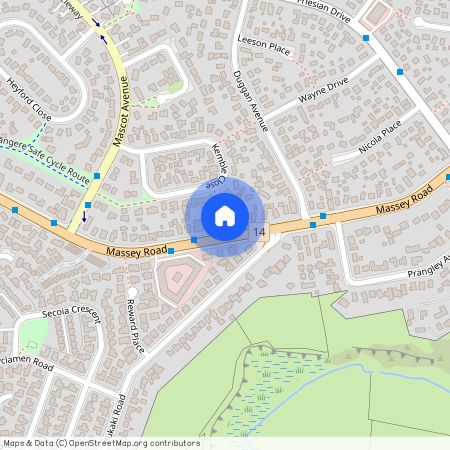 591 Massey Road, Mangere, Manukau City