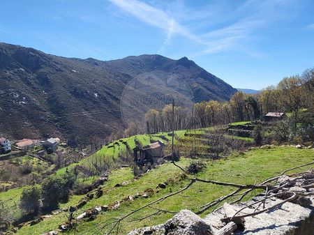 Moradia T1 em Viana do Castelo - Photo 5