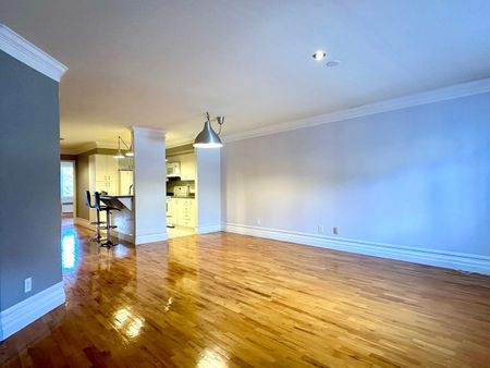 1322 Rue La Fontaine, Montréal (Ville-Marie), QC H2L - Photo 5