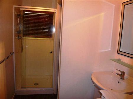 Spacious flat in great location, handy to CBD, The Base, Waikato Stadium & Frankton. - Photo 2