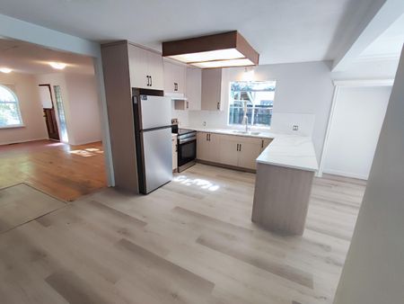 Newly Renovated Home in Johnston Heights - Photo 4