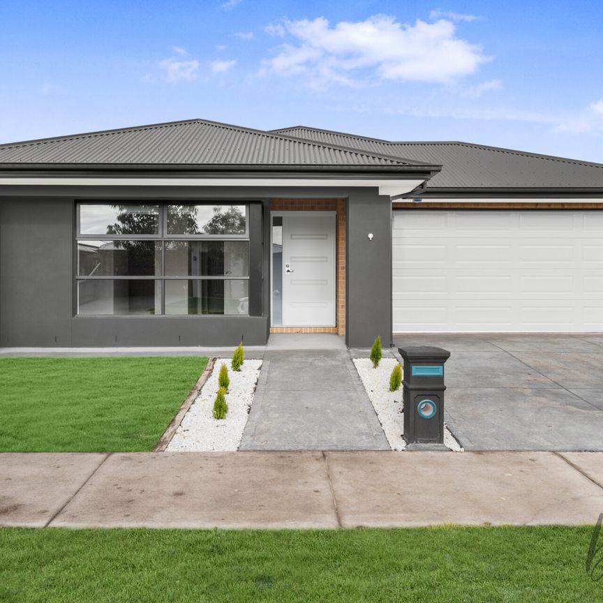 Stunning 4-Bedroom Family Home in Donnybrook - Photo 1