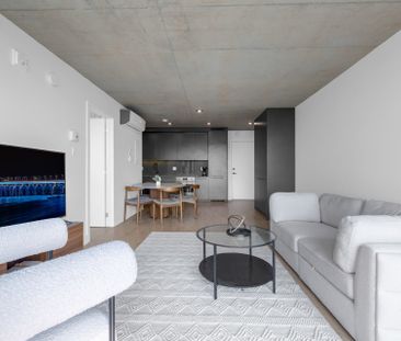 215 Rue Murray, Montréal (Le Sud-Ouest), QC H3C - Photo 1