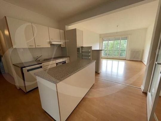 15 Quai du Cheval-Blanc, appartement de 4.5 pièces lumineux et traversant - Foto 1
