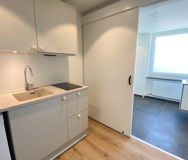 Nyrenoveret 1-værelses lejlighed i roligt område - Foto 1