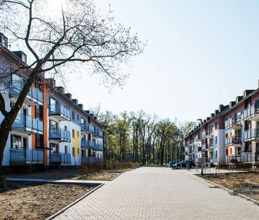 Einziehen & Wohlfühlen! Schöne 3-Zimmerwohnung mit Balkon in der Li... - Photo 6