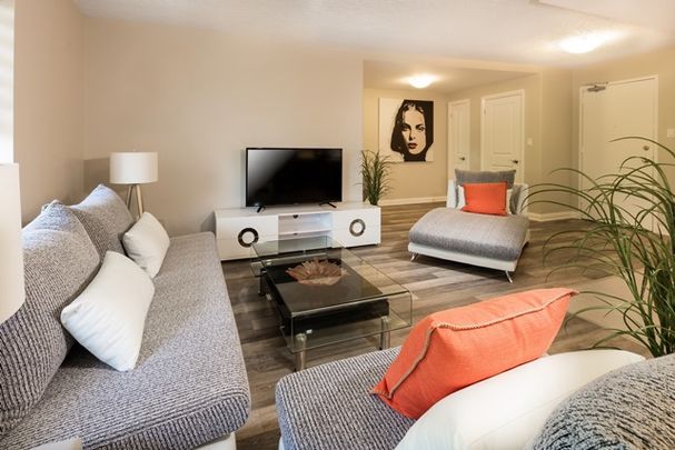 apartments at 375 Scott Street - Photo 1