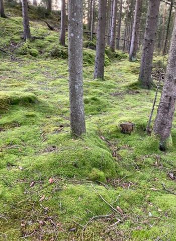 Burhultsvägen, Gråbo - Photo 2