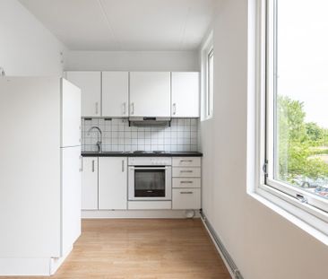 Thomsons väg 28 B, Kryddgården - Foto 4