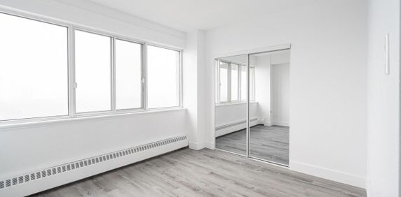Grand 5.5, Balcon, Tout Compris, Vue Sud De Montréal - 1010 Cherrier, Montréal - Photo 2