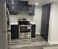 For Lease - 63 Springhurst Avenue Unit# Bsmt, Brampton, Ontario - Photo 3