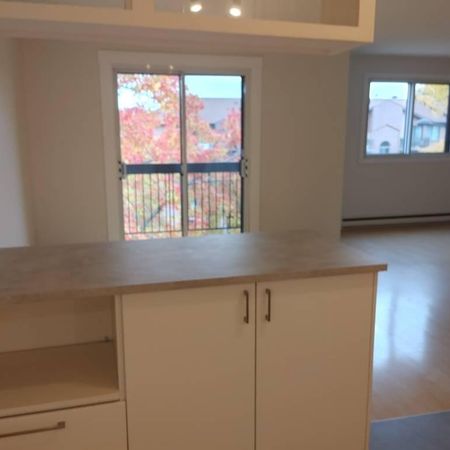 BOUCHERVILLE, spacieux 4 1/2 à louer de style Condo à aire ouverte (1000pi carré). - Photo 3