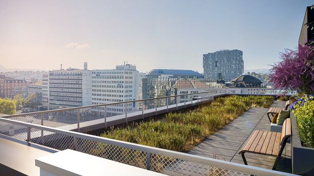 Living in the midst of the action - new construction apartment in the heart of Basel - Photo 1