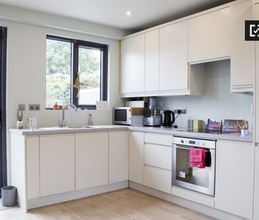 Room for rent in bright 2-bedroom home in Terenure, Dublin - Photo 5