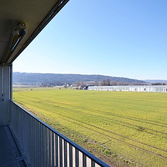 3.5 Zimmer, 95 m², 4. Stock - Photo 1