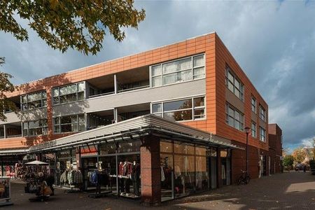 Te huur: Appartement Ripolinpad in Hilversum - Foto 2