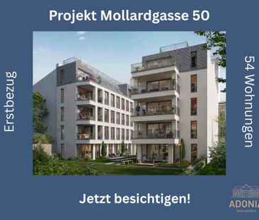 ++NEU++ fantastische 3-Zimmer-Wohnung mitten im Herzen der Stadt (3/9) - Foto 4