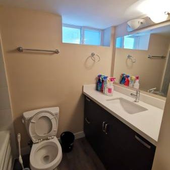 2 bedroom + 2 bathroom & Den basement suite rental - South Slope - Photo 4