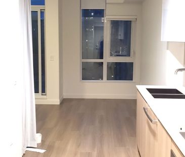 $1,700 / 432ft2 – Conveniently located BRAND NEW Studio suite (R0073) - Photo 5