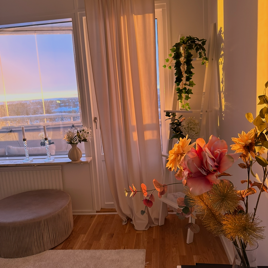 Oxens gata, Brandbergen - Photo 1