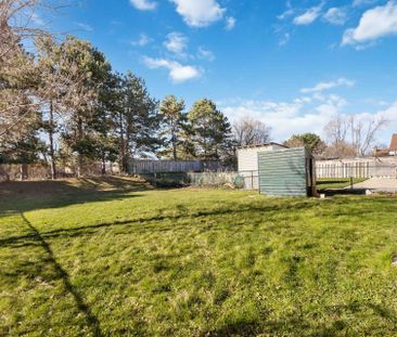 For Lease - 37 Winstanly Crescent, Toronto, Ontario - Photo 6