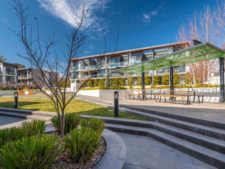 56/18 Austin Street, Griffith ACT 2603 - Apartment For Rent | Domain - Photo 4