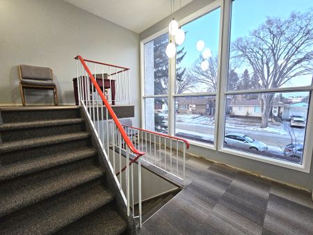 AMAZING FULLY RENO'D Apartment in Lacombe! CATS OK! - Photo 3
