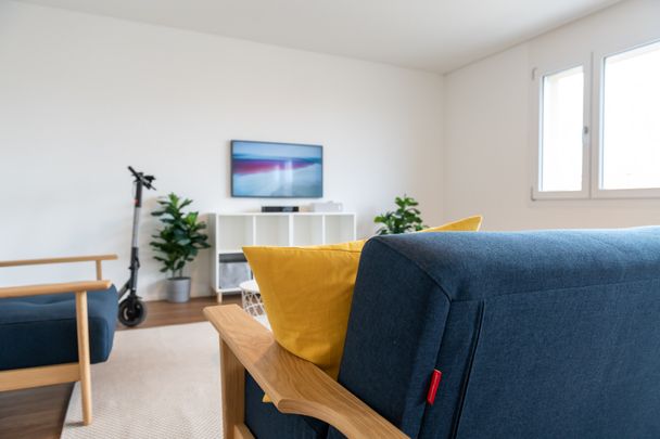 3.5 Zimmerwohnung - grosse Attikawohnung mit herrlicher Aussicht über Basel - Foto 1