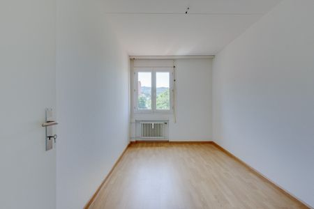 Living centrally in Muttenz and yet in the countryside - Photo 5