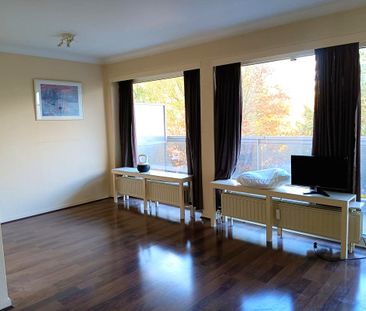 Te Huur- Studio- Berchem- TH209 - Photo 4