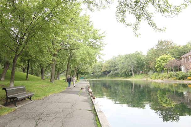 Appartement à louer, Montréal (Ville-Marie) - Photo 1
