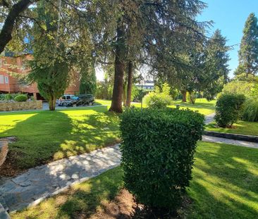 Piso de alquiler en Calle del Picazo, 17b, Hoyo de Manzanares - Photo 5