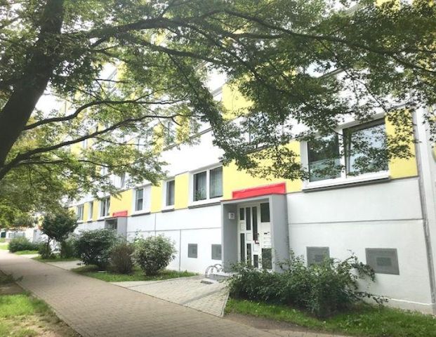 Renovierte 4 Zimmer Wohnung mit EBK - Photo 1