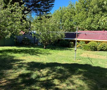 Short walk to Town - Photo 1