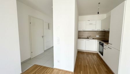 Moderne 2 Zi Wohnung mit Balkon provisionsfrei - nahe U2 - Photo 5