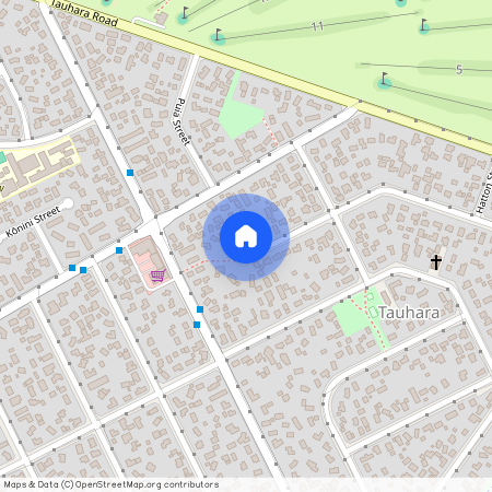 8 Elizabeth Street, Tauhara, Taupo