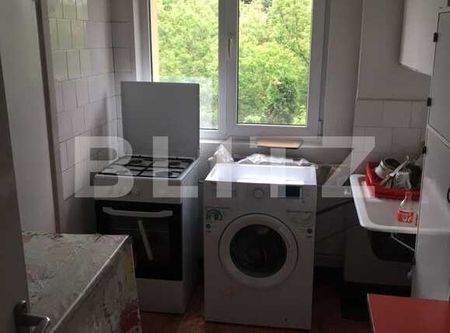 Apartament 2 camere, 53 mp, pet friendly, zona Albac - Photo 2