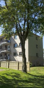 6½ (4 ch) Ste-Foy - UNIVERSITÉ \CEGEP libre - Photo 3