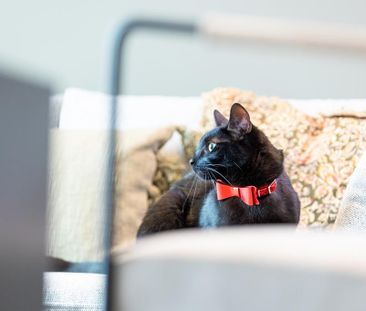 1 bedroom flat to rent - Photo 4