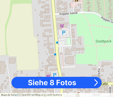 Geräumige 1-Raum-Wohnung in Falkenberg - Foto 1