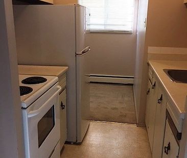 Cozy 1-Bedroom Apartment – Great Location & All Utilities Included - Photo 3