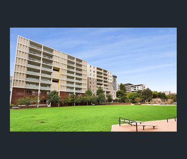 Location Location Location, 2 bedroom in the heart of Parramatta - Photo 4
