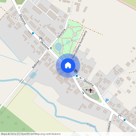 ul. Głuszyna, Głuszyna, Nowe Miasto, Poznań, wielkopolskie