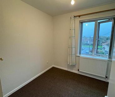 44 Windmill Gardens, Ballynahinch, BT24 8ER - Photo 4