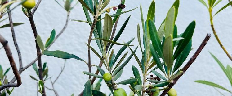 ab 01.01.26 Mietwohnung Barmbek-Süd 61 qm 2,5 Zimmer - Foto 1