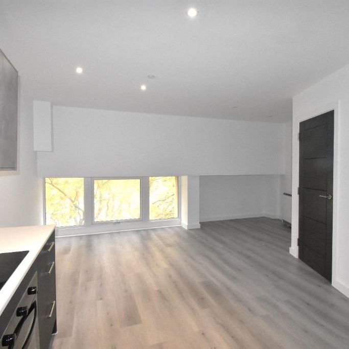 1 bedroom duplex to rent - Photo 1