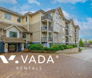 1 Bedroom Apartment For Rent in Surrey - Photo 6