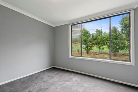 599 Pacific Highway, Korora NSW 2450 - House For Rent | Domain - Photo 4